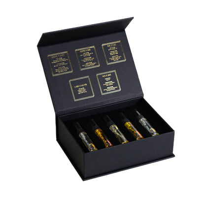 CITY COLLECTION DISCOVERY SET