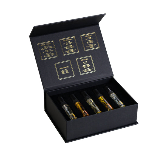 CITY COLLECTION DISCOVERY SET